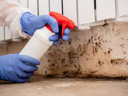 Best Real Estate Mold Inspection  in Dahlgren, VA